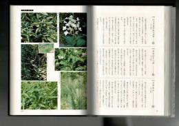 青墓・赤坂の植物