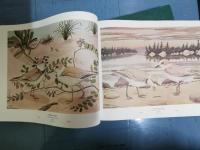 Birds & Trees of North America　全2巻揃い