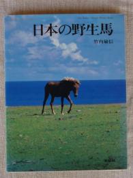 日本の野生馬
