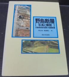 野島断層 : 写真と解説 : 兵庫県南部地震の地震断層