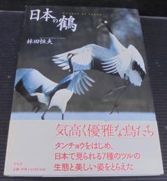 日本の鶴