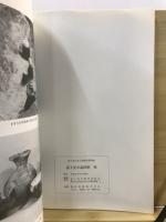 富士見市文化財報告