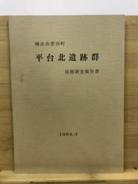 平台北遺跡群発掘調査報告書