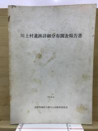川上村遺跡詳細分布調査報告書