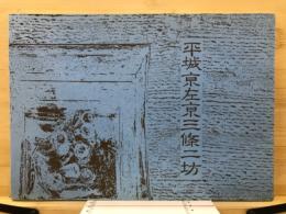 平城京左京三条二坊 : 奈良市庁舎建設地発掘調査報告