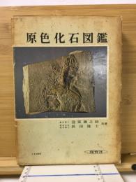 原色化石図鑑
