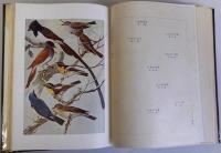 日本鳥類図説　上下巻2冊揃