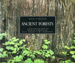 Ancient Forests