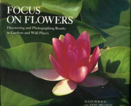 Focus on Flowers: Discovering and Photographing Beauty in Gardens and Wild Places (英語) ハードカバー