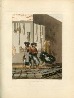 Picturesque illustrations of Buenos Ayres and Monte Video, consisting of twenty-four views