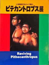 ピテカントロプス展 : いま復活するジャワ原人　日本人の源流をさぐる