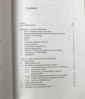 Principles of radical CV phonology : a theory of segmental and syllabic structure