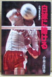 白球に賭ける　小説「全日本男子」