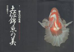 土佐錦魚の美: 蘇る幻の名魚