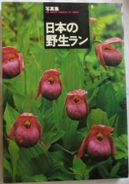 日本の野生ラン : 写真集