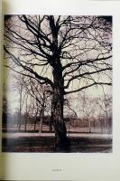 ［英］ Eugene Atget's trees