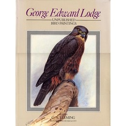 George Edward Lodge UNPUBLISHED BIRD PAINTINGS（鳥類の細密画集）