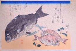 広重魚づくし 分売：鯛に山椒