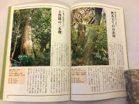 【付図2枚】利根町の巨木とタブノキ