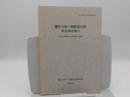 越中王塚・勅使塚古墳測量調査報告―北陸の前方後円・後方墳の一考察「富山大学考古学研究報告第4冊」