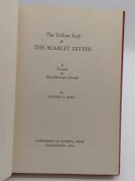 The Yellow Ruff & The Scarlet Letter: A Source of Hawthorne's Novel(英)