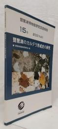 琵琶湖のカルデラ形成史の研究
