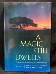 A magic still dwells : comparative religion in the postmodern age