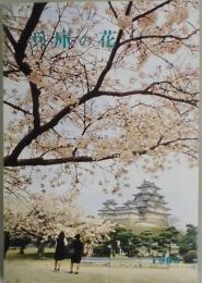 兵庫の花　第３１回日本花き生産者大会記念誌