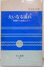 大いなる流れ : 釈尊から法然上人へ< 浄土選書>