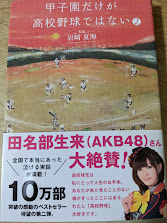 甲子園だけが高校野球ではない