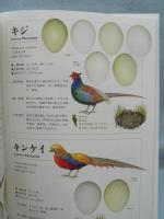 鳥と卵と巣の大図鑑