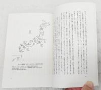 都市はよみがえるか : 地域商業とまちづくり