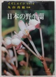 日本の野生蘭