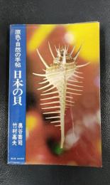 日本の貝　原色・自然の手帖　ブルーバックス　B-99