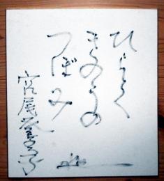 宮尾登美子色紙「ひらくきのうのつぼみ」
