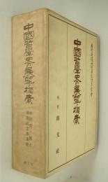 中国哲学史の展望と模索
