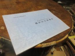 宮崎県の文化財 : 未指定文化財総合調査報告書