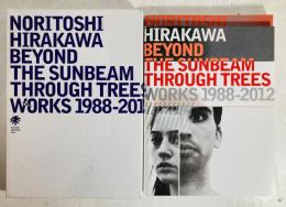 平川典俊 : 木漏れ日の向こうに : works 1988-2012