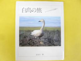 白鳥の旅　〈シベリアから日本へ〉
