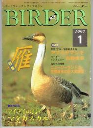 BIRDER (バーダー) １９９７年 １月号 （通巻１２０号）　特集/雁