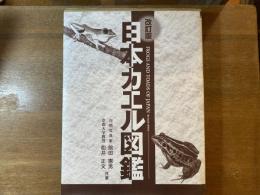 日本カエル図鑑