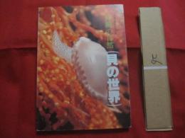 沖縄の自然        貝の世界     　  カラー百科シリーズ ⑩      　       【沖縄・琉球・自然・海洋生物・動物・図鑑】