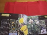 ☆いのちの花  　こころの花　  　　四季を彩る薬草の花     　　   【自然・植物・健康・図鑑・写真集】