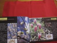 ☆いのちの花  　こころの花　  　　四季を彩る薬草の花     　　   【自然・植物・健康・図鑑・写真集】
