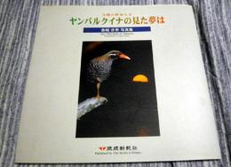 ヤンバルクイナの見た夢は　沖縄の野鳥たち : 金城吉男写真集