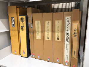 06_Anatomical-Manuscripts