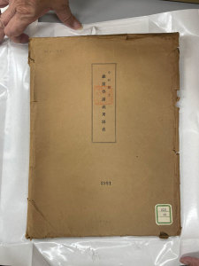 17_Dr.imamura