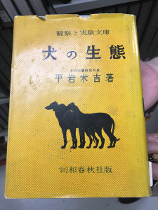 20250110_22_inunoseitai