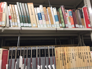 20250110_24_Shelves-of-foreign-literature