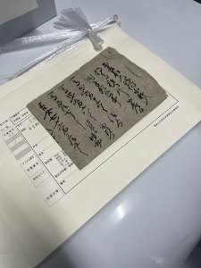 20_Document